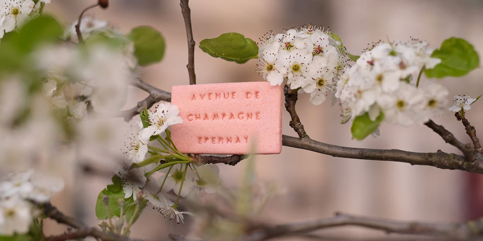 biscuit rose sur l'avenue de champagne - Epernay Tourisme