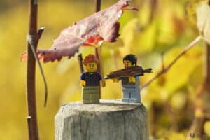 Playmobiles dans les vignes