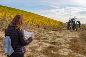 La Champagne à pied