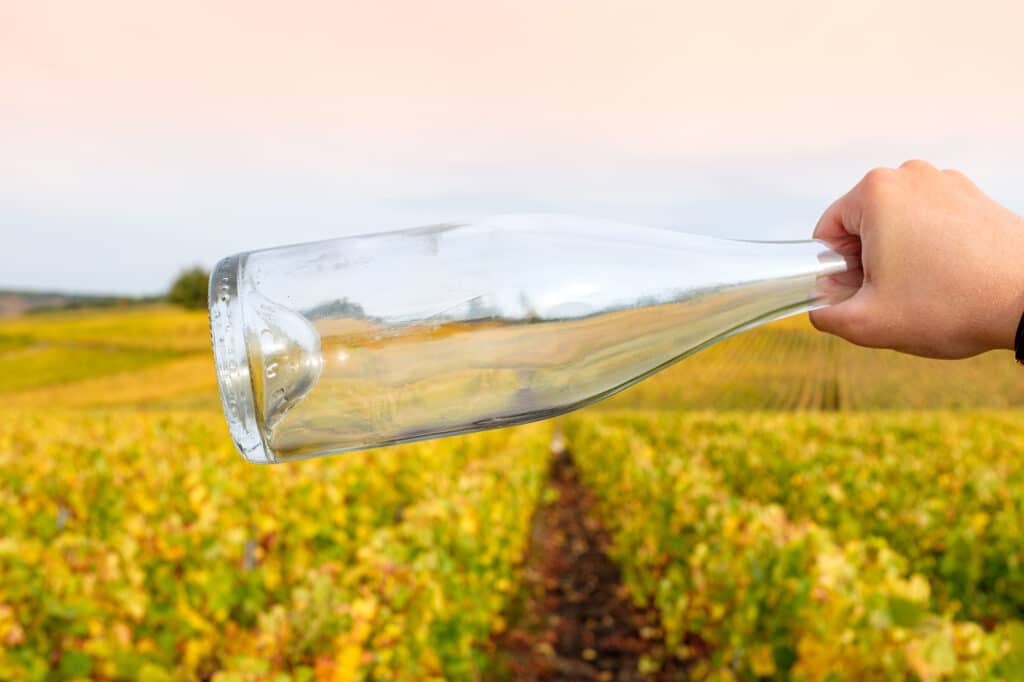 bouteille de champagne vide dans les vignes - Epernay Tourisme