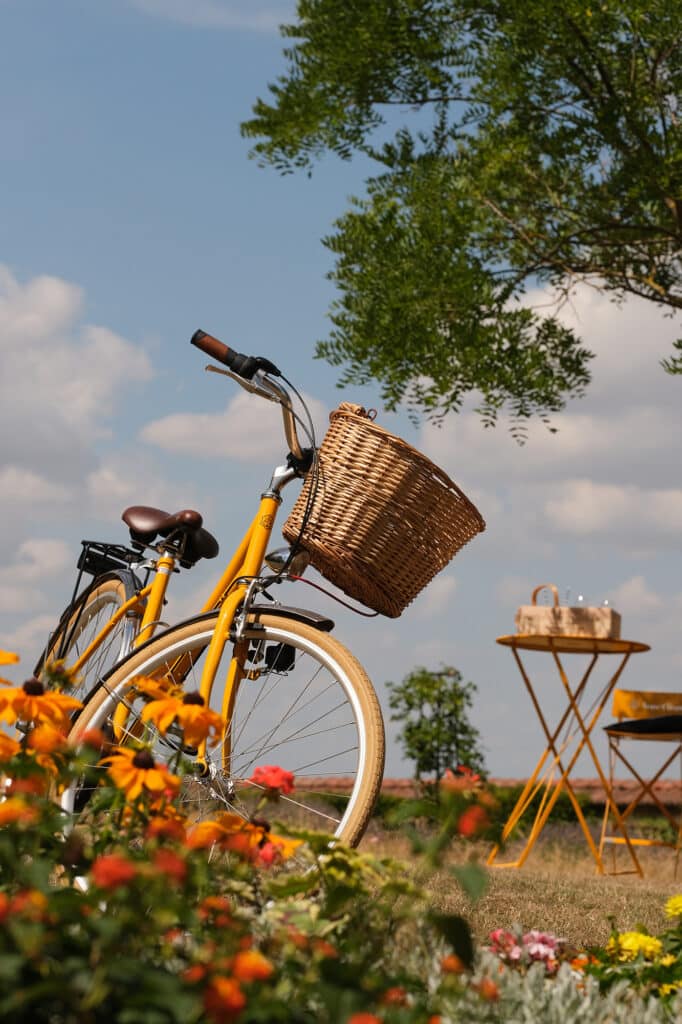 balade en vélo dans le vignoble champenois