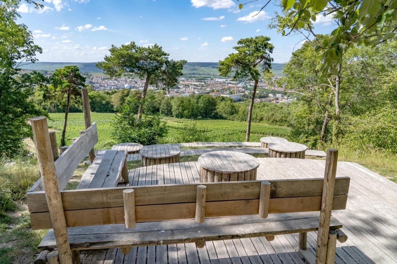 Jardin de vignes Belvédère Pierre Cheval - Epernay Tourisme