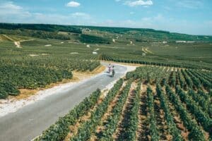 les droners dans le vignoble champenois à vélo