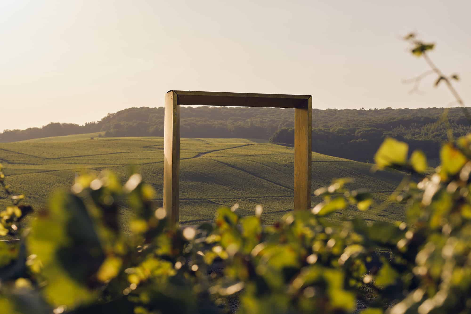 l'art etle vignoble champenois