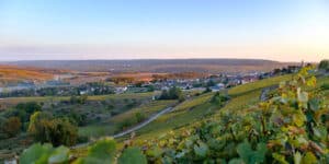 Paysage de la Champagne