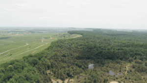 Les marais de St Gond crédit Bluemax