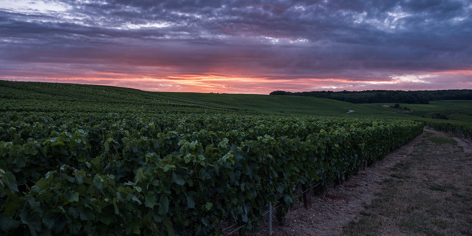 Champagne expérience Epernay et alentours