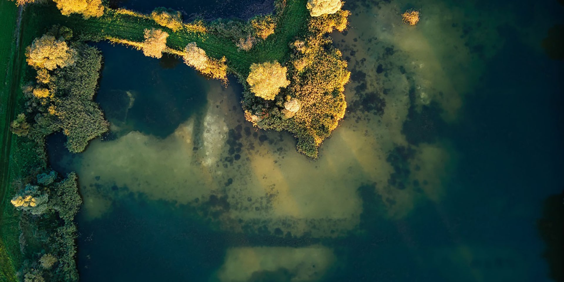 Marais de Saint-Gond
