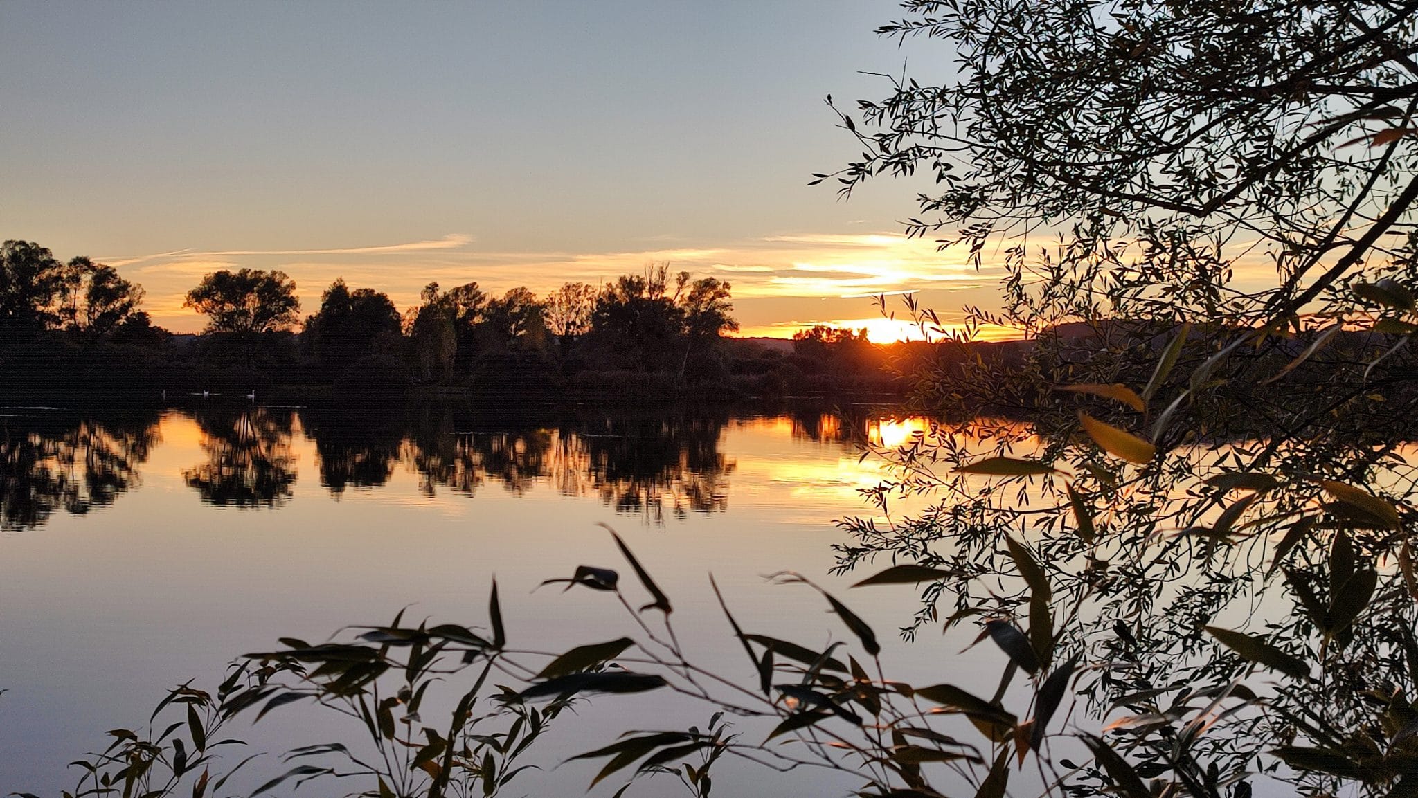 Marais de Saint Gond au coucher du soleil