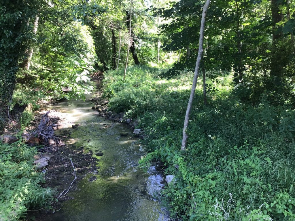 Paysage de la commune de Saint Mard les Rouffy - Epernay Tourisme