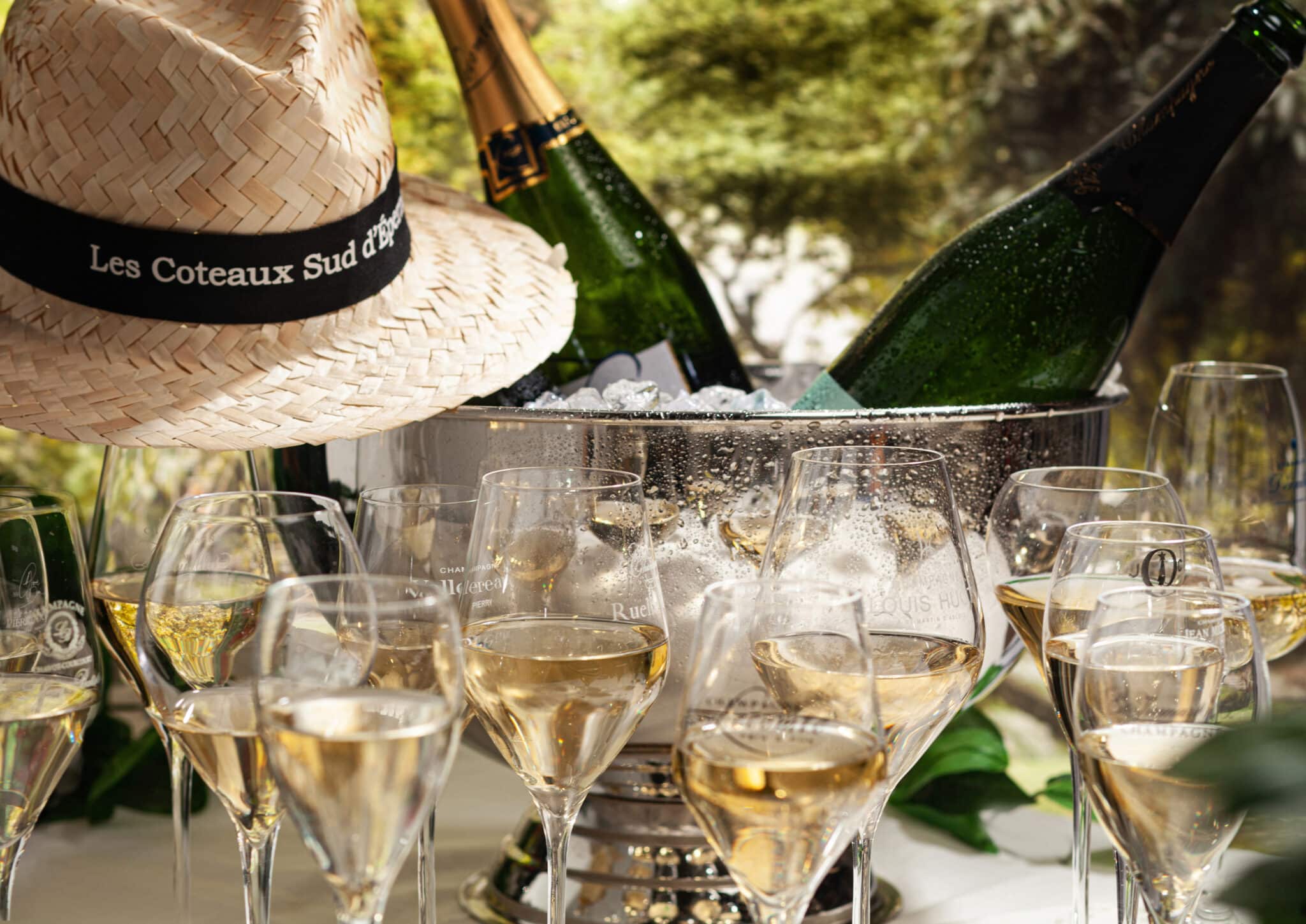 Les coteaux sud d'epernay