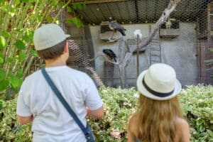 visite inédite qui vous attend à la Ferme aux Oiseaux Exotiques