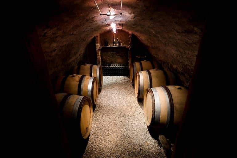 Venez découvrir le plus vieux pressoir de Champagne, datant de 1888, encore en activité et laissez-vous tenter par la dégustation des cuvées dans ce caveau.